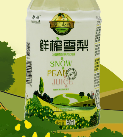 赵州牌雪梨汁果肉饮料350ml15瓶3件