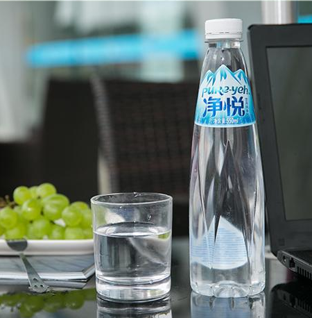 达利园净悦纯净水550ml24